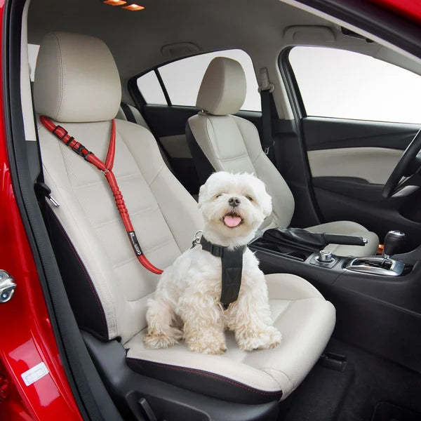 Adjustable Dog Leash for Cars