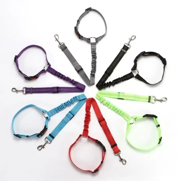 Adjustable Dog Leash for Cars