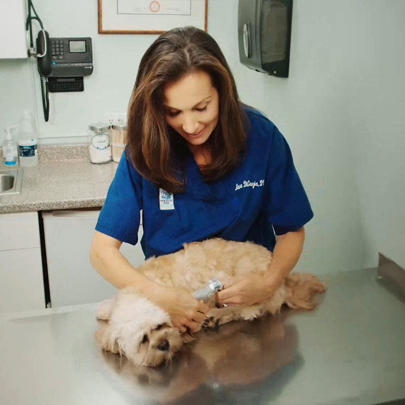 PawGuard Pro Nail Clipper with Smart Sensor Technology