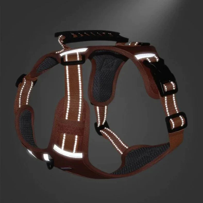 Lightweight No-Pull Harness for Safe and Stylish Walks