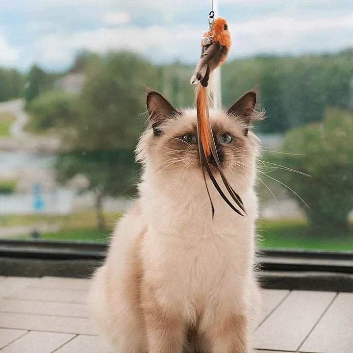 Fluttering Cat Toy - Interactive Playmate for Feline Fun