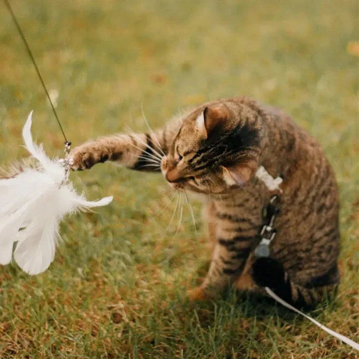 Fluttering Cat Toy - Interactive Playmate for Feline Fun