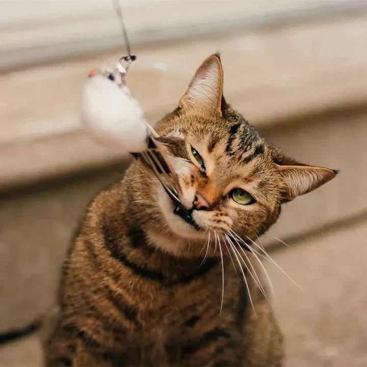 Fluttering Cat Toy - Interactive Playmate for Feline Fun