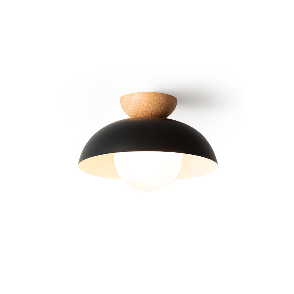 Modern Ceiling Light Fixture