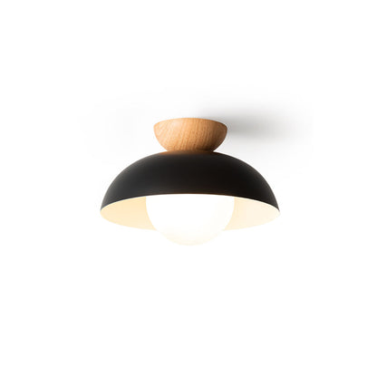 Modern Ceiling Light Fixture