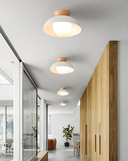 Modern Ceiling Light Fixture