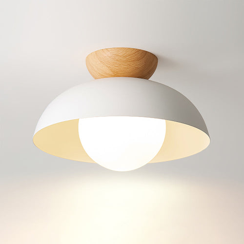 Modern Ceiling Light Fixture