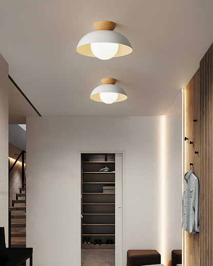 Modern Ceiling Light Fixture