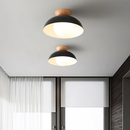 Modern Ceiling Light Fixture