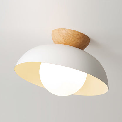 Modern Ceiling Light Fixture