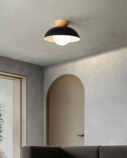 Modern Ceiling Light Fixture