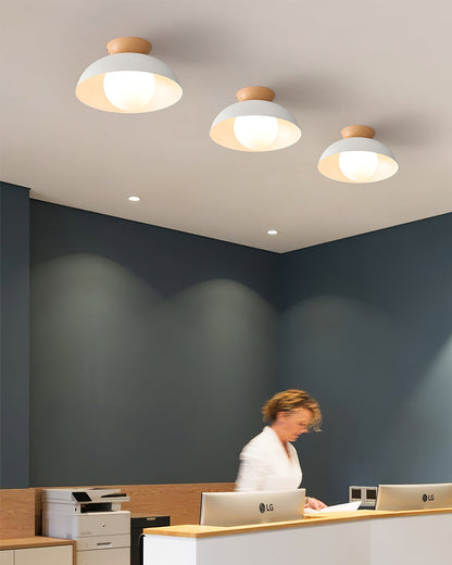 Modern Ceiling Light Fixture