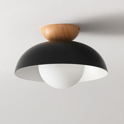 Modern Ceiling Light Fixture