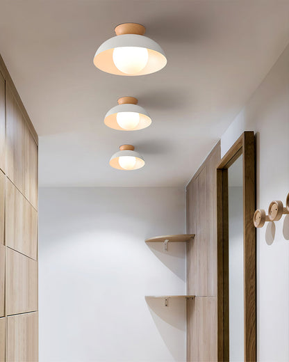 Modern Ceiling Light Fixture