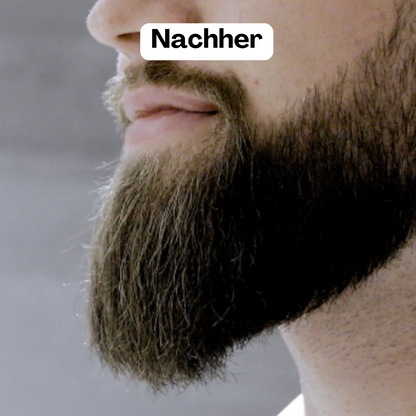 Cordless Negative Ion Beard Styler