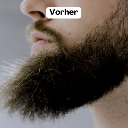 Cordless Negative Ion Beard Styler