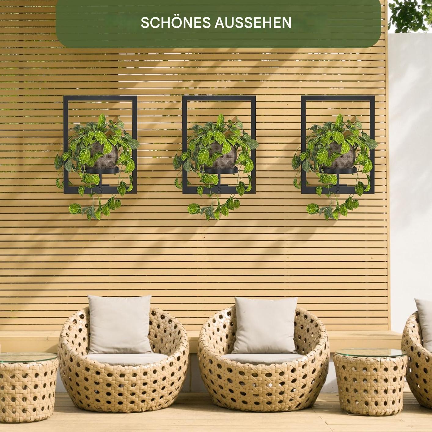 Elevate Your Space with a Stylish Plant Wall Holder