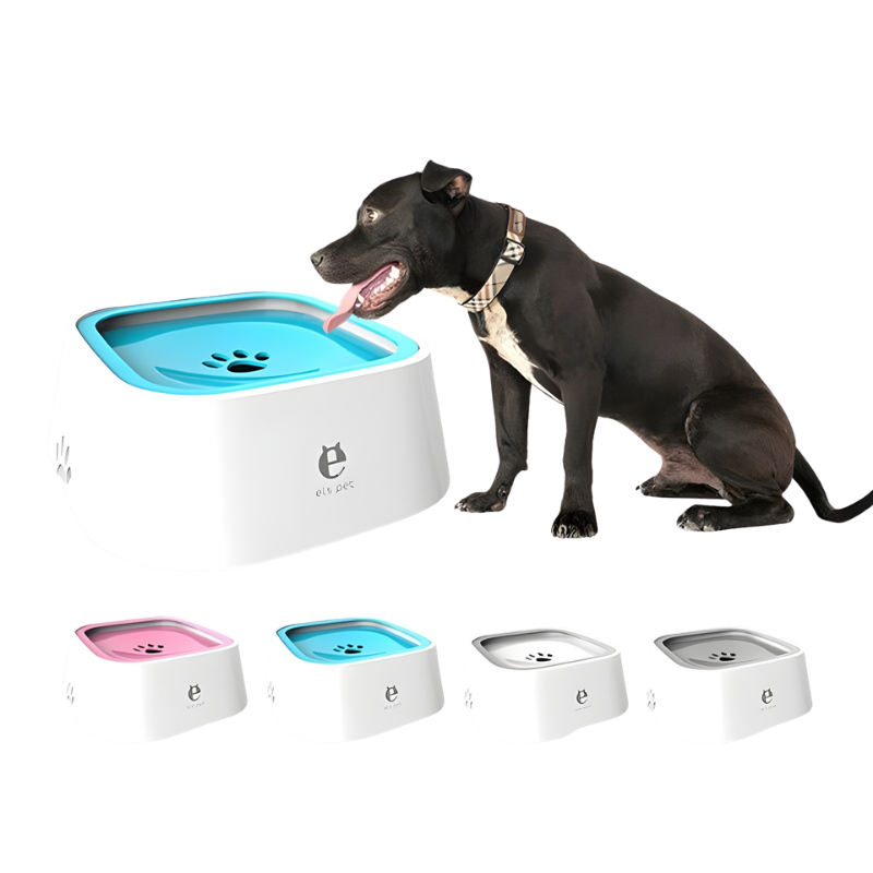Spill-Free Water Bowl | Floating Rim Design | AquaGuard