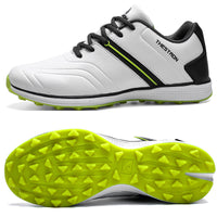 White Green