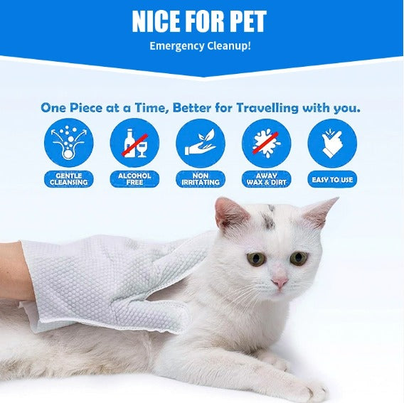 Daily Care Gloves for Gentle Pet Wipes