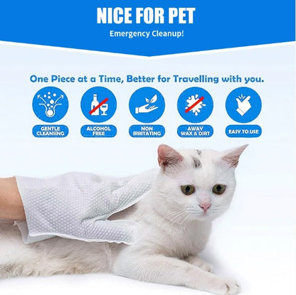 Daily Care Gloves for Gentle Pet Wipes