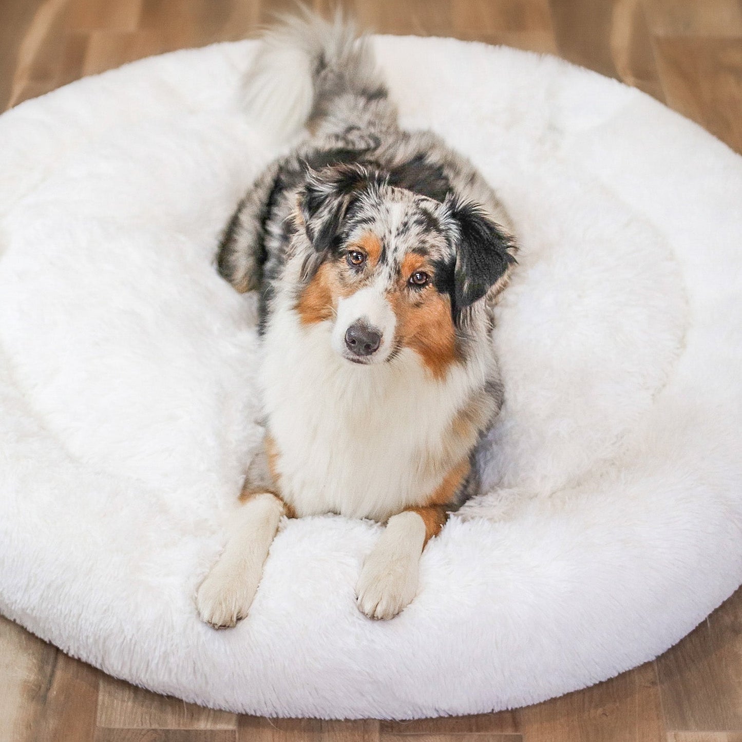 Orthopedic Plush Dog Bed – FluffyNest Comfort Sleeping Cushion