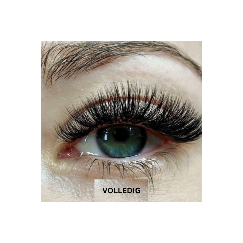 Magnetic Eyelashes | Adhesive-Free Magic Lashes
