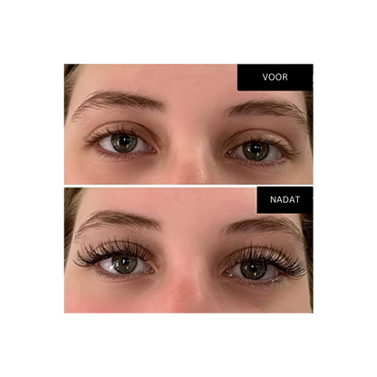 Magnetic Eyelashes | Adhesive-Free Magic Lashes