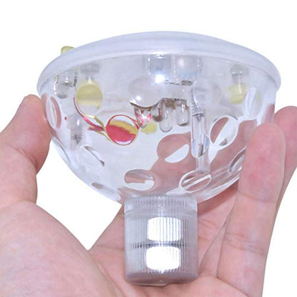Transform Any Water Moment with Vibrant Floating Lights