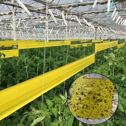 EcoShield – Insect Defense Tape for Outdoor Plants