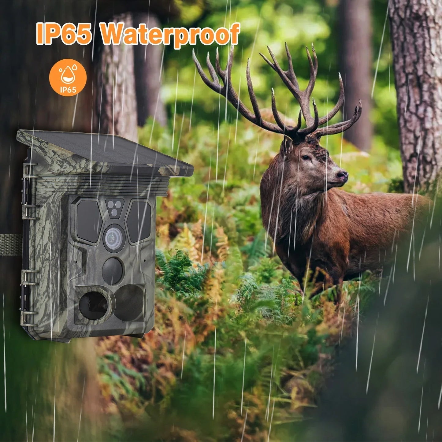 Version 3 of Wildsnap