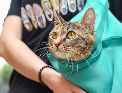 Travel and Care Bag for Cats