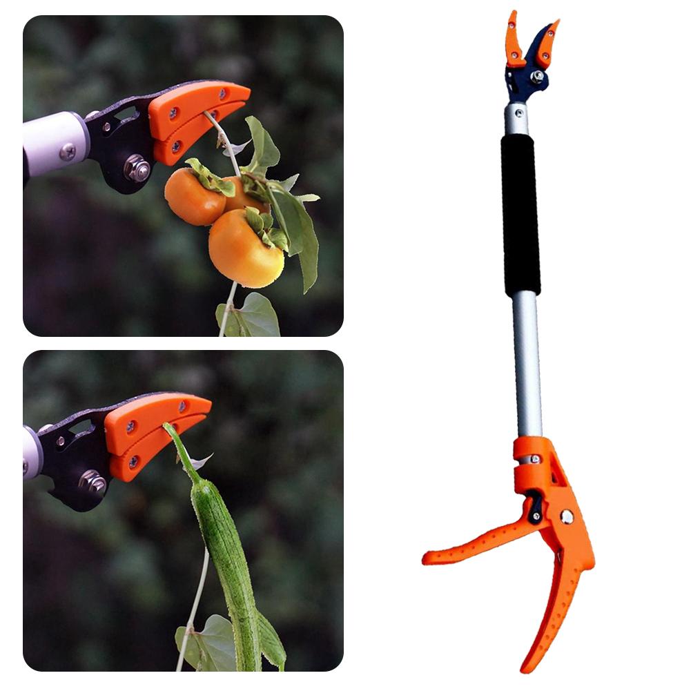 Tree Branch Cutter – Easily Reach and Trim High Branches