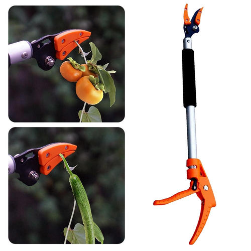 Tree Branch Cutter – Easily Reach and Trim High Branches