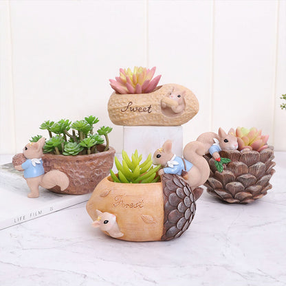 Brighten Corners Instantly and Keep Plants Healthy