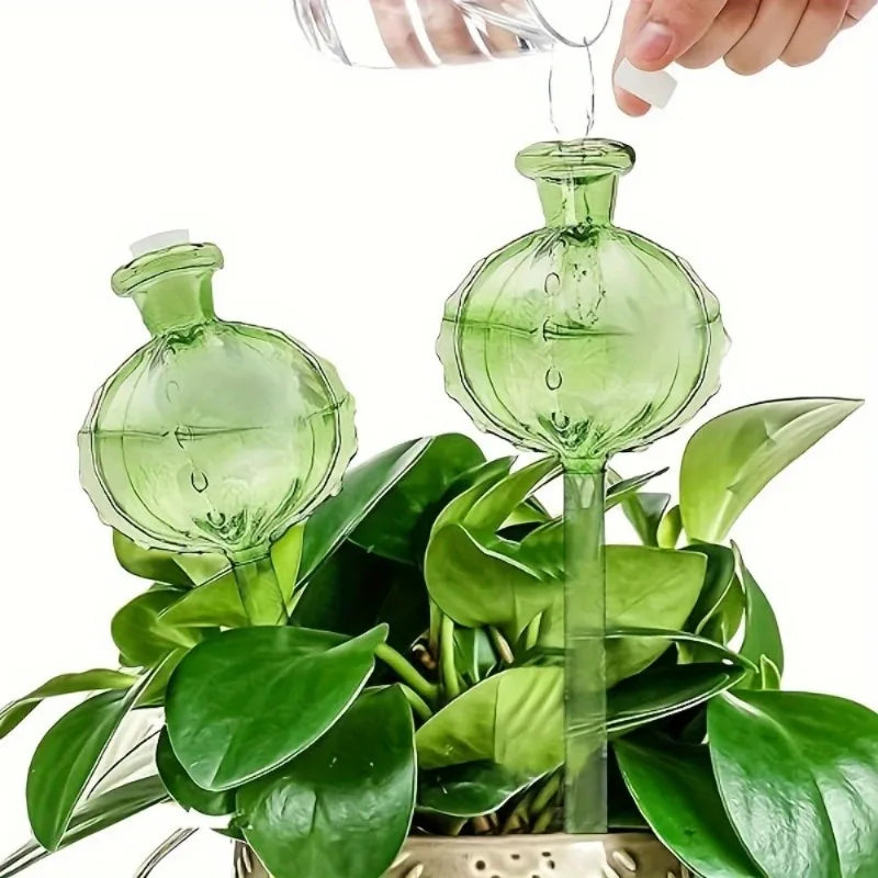 Self-Watering Plant Globes – Glass Set of 2 for Indoor and Outdoor Use