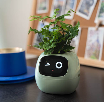 Creative Emoji Flower Pot