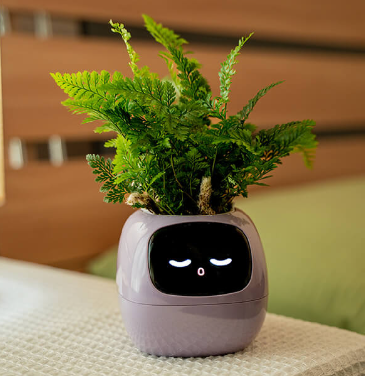 Creative Emoji Flower Pot