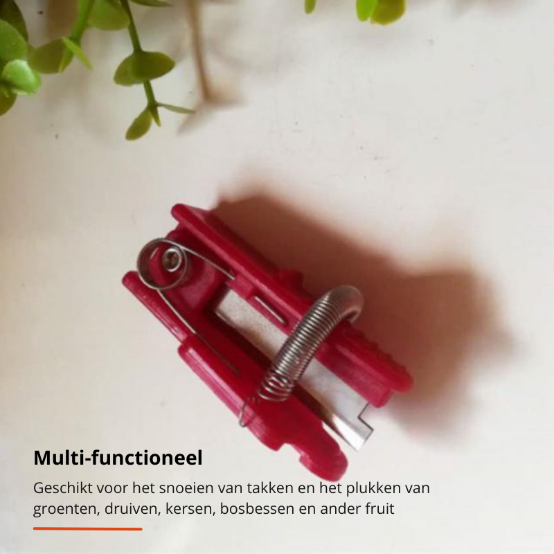 Fruit Picker for Quick Harvesting Without Bruising or Damage