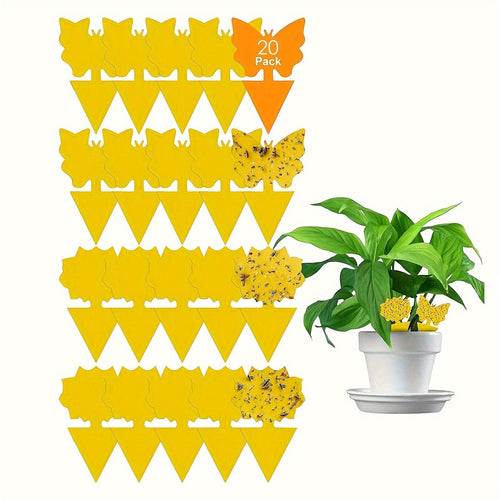 Vibrant Yellow Insect Traps for Optimal Plant Care
