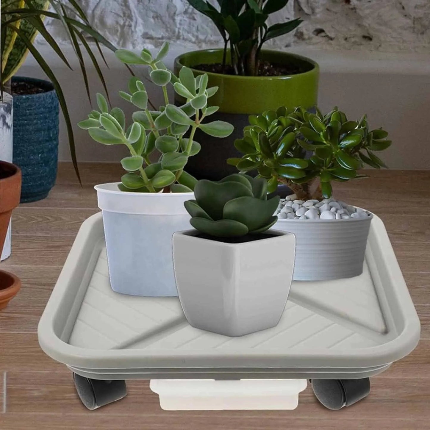 Plant Roller with Drip Tray | Square Mobile Plant Stand | Sturdy and Easy to Move