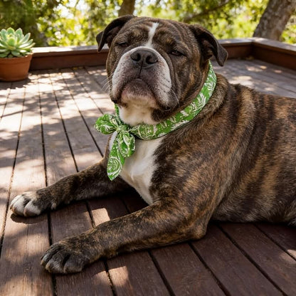 Reusable Cooling Bandanas for Pets
