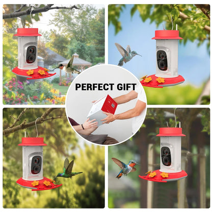 Nourishing Bird Food Formula