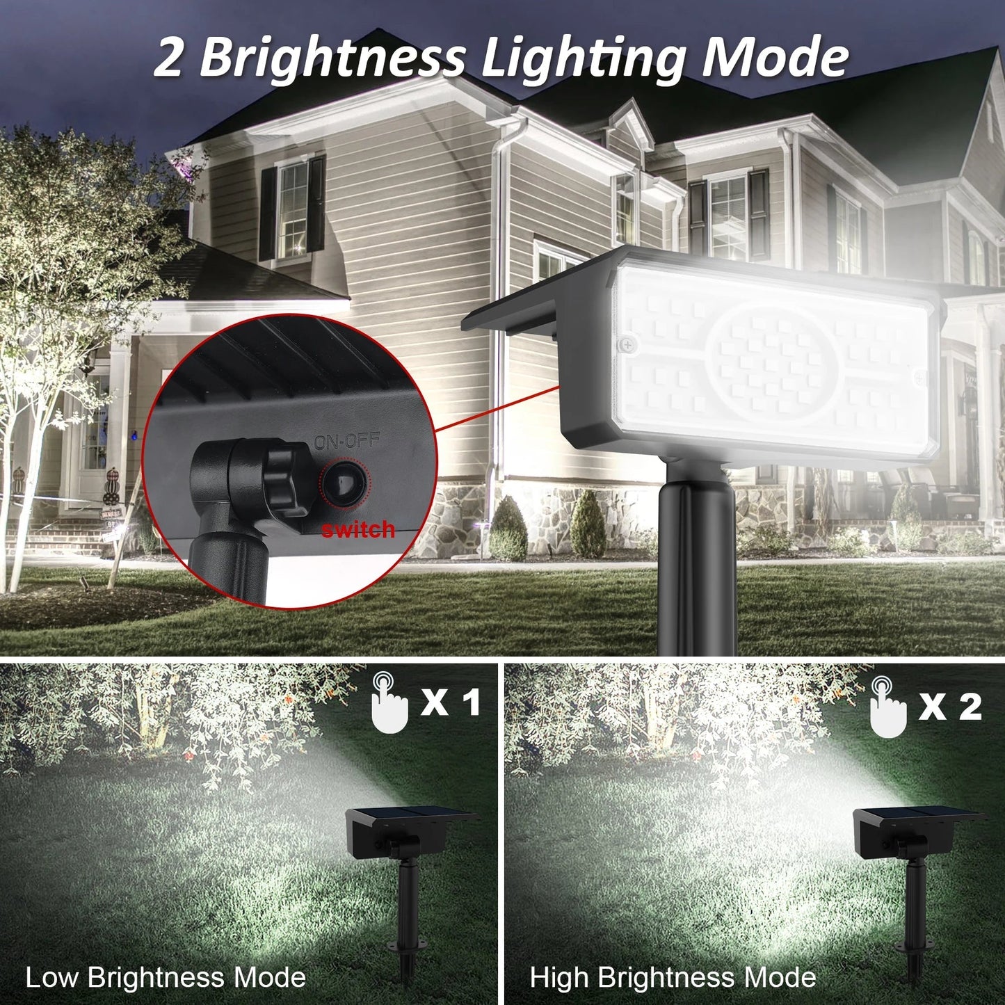 LED Solar Flood Light | 49 LEDs | IP65 Waterproof | 3000K/6000K/Green/Blue