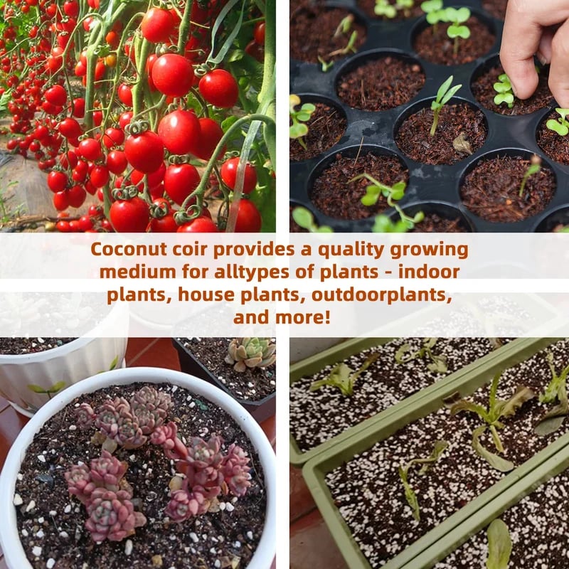 Eco-Friendly Coconut Fiber Growth Medium for Plants