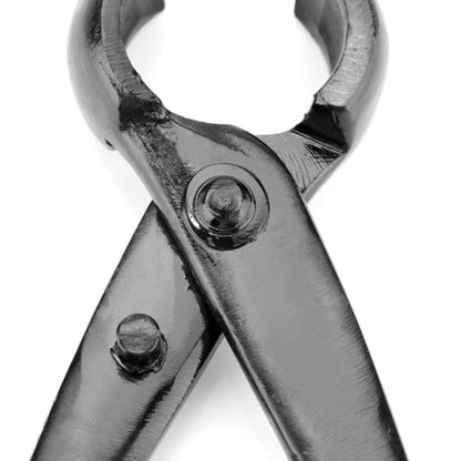 Precision Cutting Tool for Healthy, Beautiful Bonsai Trees
