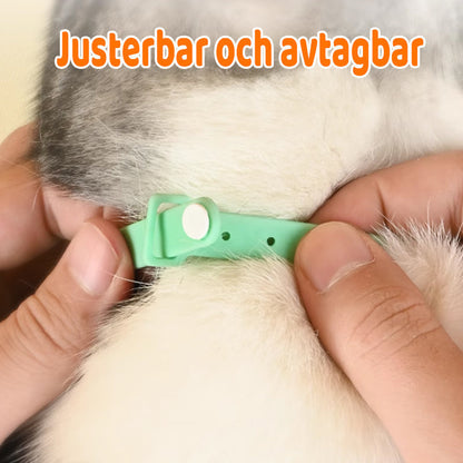 Buy One Get One Free | Keep Your Cat Active and Entertained All Day