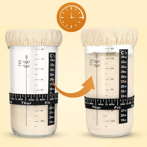 Sourdough Bread Maker – Perfectly Every Time Without Guesswork
