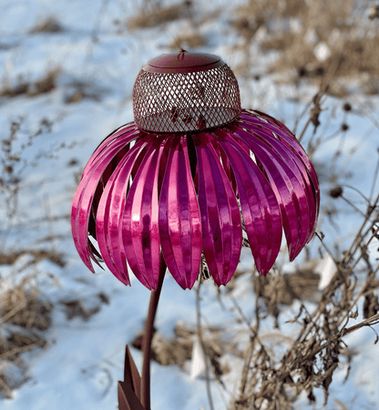 Buy One Get One Free | Kegel Flower Bird Feeder