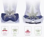 Ergonomic Seat Cushion for All-Day Comfort and Pain-Free Sitting
